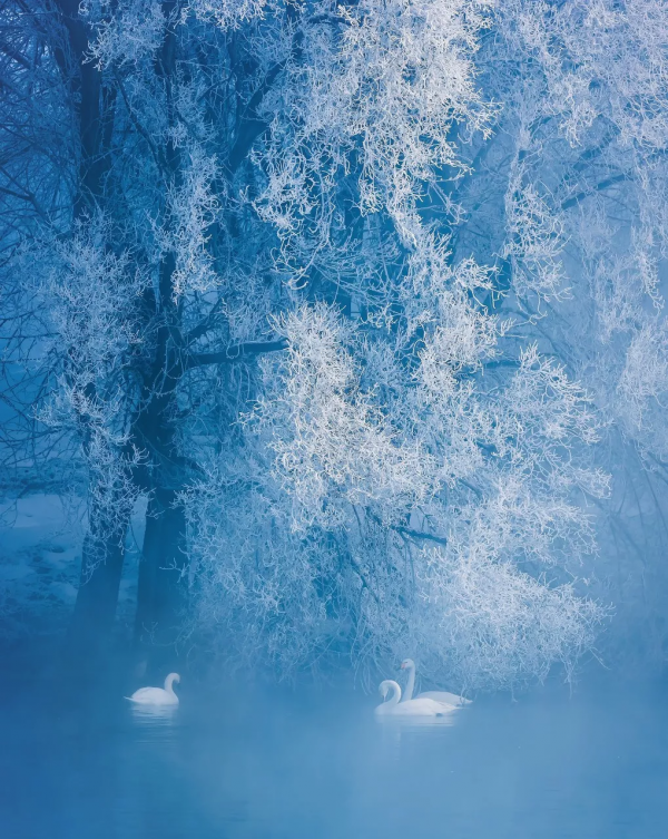 12個最適合女人旅行的地方，領略世界的美，每年去一個可好？