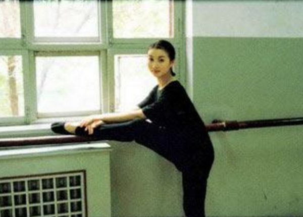 &OpenCurlyDoubleQuote;人生贏家&rdquo;陳好：31歲嫁百億富豪，42歲與黃曉明演情侶再次翻紅