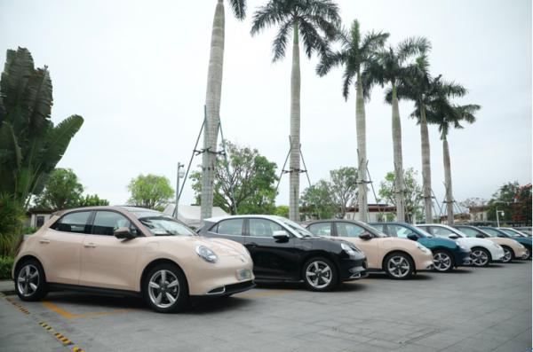 卡位精準、好看好開，尤拉有隻能抓老鼠的“好貓”丨壹體驗