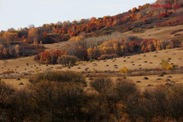 這一次,為什麼是承德? 這一次,為什麼是承德?