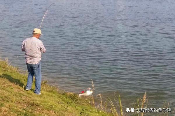 冬天野釣打海竿用哪種餌料效果好?冬天用海竿野釣大魚的餌料種類 冬天野釣打海竿用哪種餌料效果好?冬天用海竿野釣大魚的餌料種類