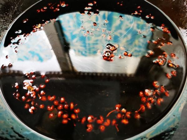 小雪開始醃菜,這9種蔬菜醃好後,脆爽開胃下飯,比新鮮的還好吃 小雪開始醃菜,這9種蔬菜醃好後,脆爽開胃下飯,比新鮮的還好吃