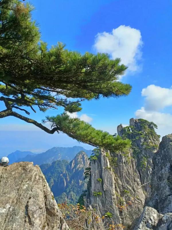 人到中年，才發現：除了生死，其他的都是小事