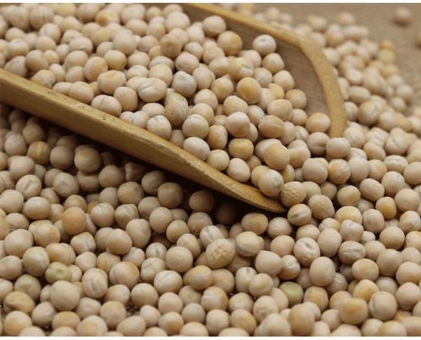 炒豌豆,兒時電影院的味道 炒豌豆,兒時電影院的味道