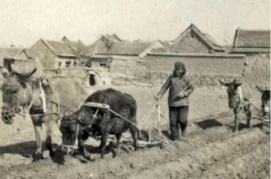 貴州86歲老兵接受慰問，牆上舊照嚇壞領導：您和邱少雲什麼關係？