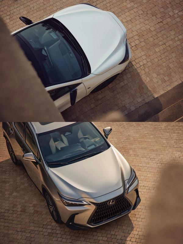 生活潮流家“安利”你的生活儀式感徵集 生活潮流家“安利”你的生活儀式感徵集