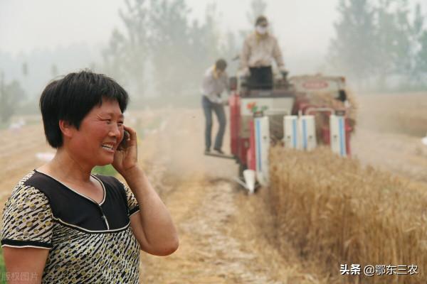 農村五年不換手機號碼的人是些什麼人？長見識了