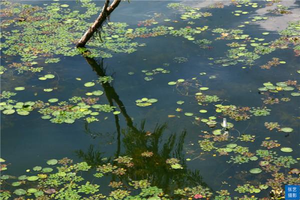 世界春城80佳排行榜：昆明穩居第一，為何中國還有這7座城市入圍