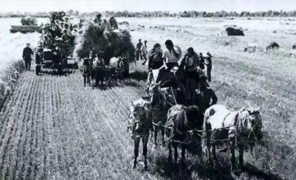 1981年，鄧小平的10天新疆之行，堅定了要恢復生產建設兵團的決心