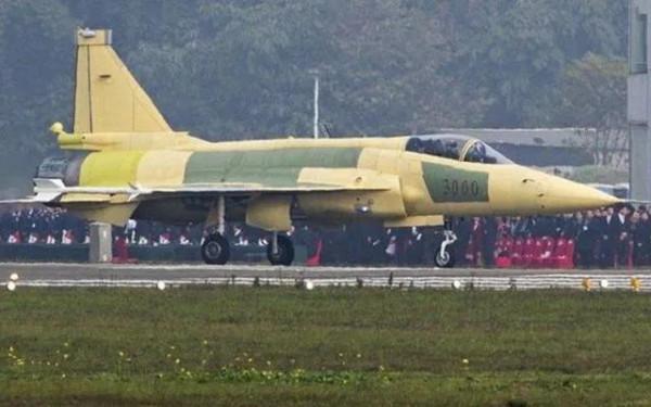 巴西“鷹獅”：委內瑞拉的重負與對策