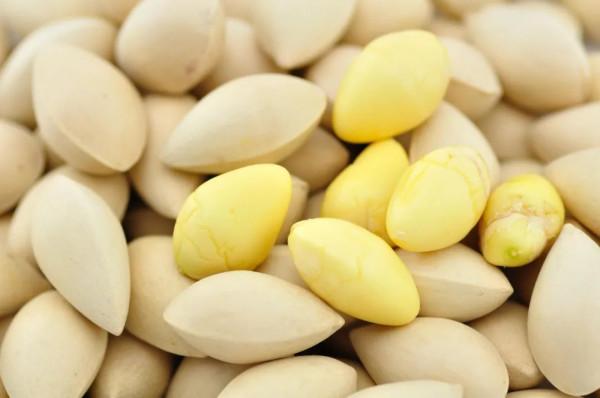 寒邪犯肺引起的咳嗽、鼻塞、頭痛，用對這3種中藥，或可緩解症狀