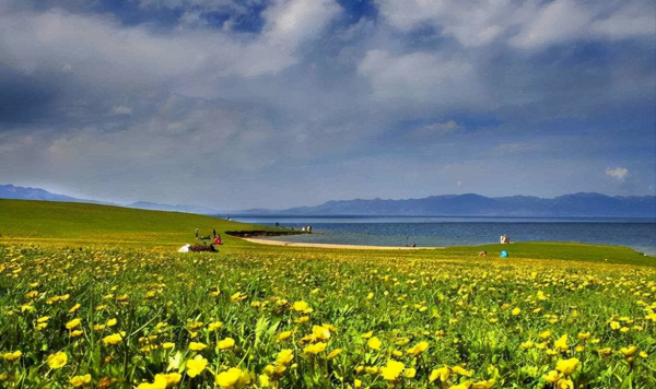 新疆深處的明珠,天鵝常在裡面跳舞,被稱“太平洋最後一滴眼淚” 新疆深處的明珠,天鵝常在裡面跳舞,被稱“太平洋最後一滴眼淚”