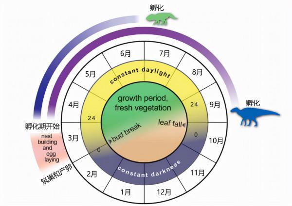 低溫、常年不見陽光：極地恐龍的生存大作戰