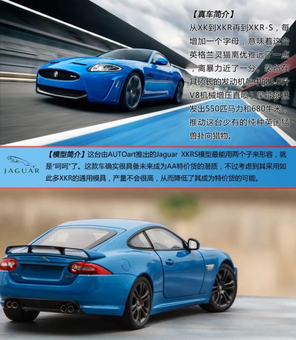 溫故知新,來自英倫島的大靈貓 溫故知新,來自英倫島的大靈貓