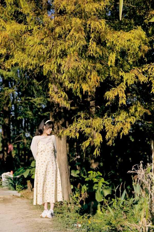 抓住秋天的影子，至少要去一次「華南植物園」