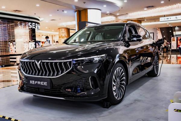 增程、純電兩不誤|嵐圖FREE靜態測評