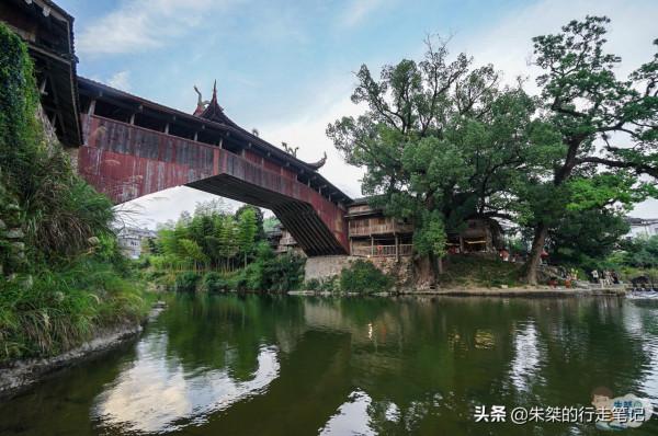 中國現存的國保級廊橋有32座 泰順獨佔15座 成研究古廊橋的活教材 中國現存的國保級廊橋有32座 泰順獨佔15座 成研究古廊橋的活教材