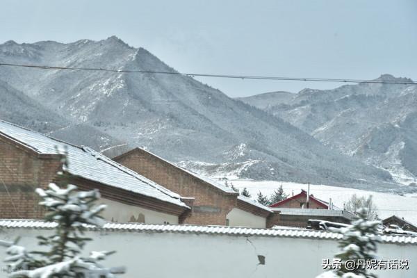 因怕狗咬人養兩年的狗被奶奶 10 元賣掉，女孩極力阻攔無果崩潰大哭