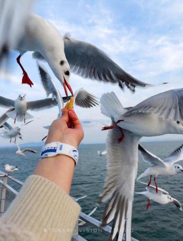 逛逛日本 &vert; 冬遊紀行 樂在九州