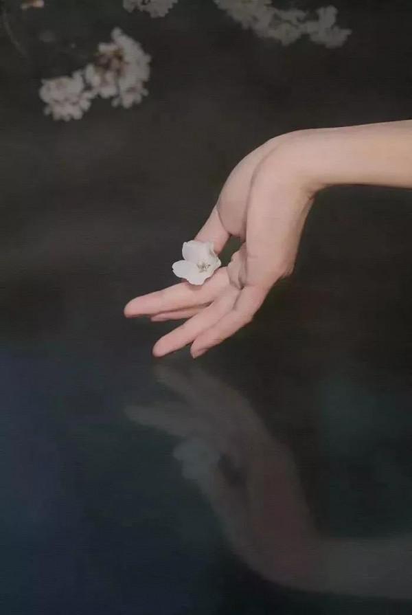 選擇大於努力 選擇大於努力