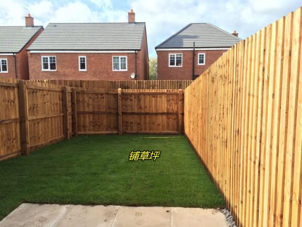 對普通家庭而言，這樣的院子才叫人滿意，賞花種菜打理方便少操心