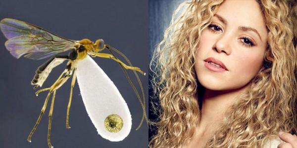 搞笑動物名字!真的有一條叫素貞的蛇,還有一隻叫川普的飛蛾 搞笑動物名字!真的有一條叫素貞的蛇,還有一隻叫川普的飛蛾