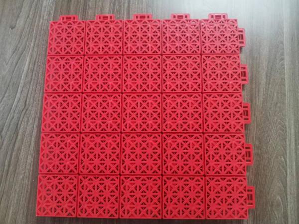 拼裝家族來新人了 拼裝家族來新人了