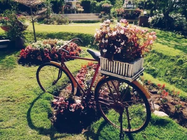 四國窮遊記之泰國篇