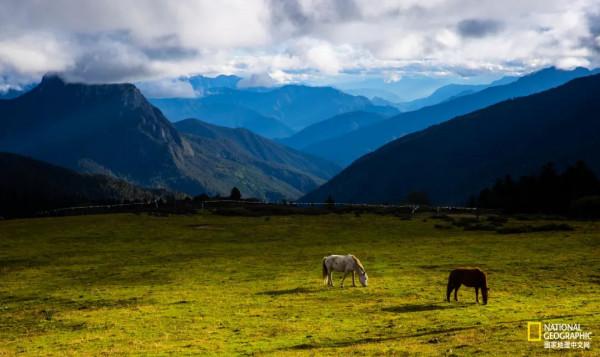 怒放的木裡，美到不真實