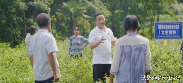 拿著手機東晃西晃的小年輕,一年把蜂蜜賣了1500萬…… 拿著手機東晃西晃的小年輕,一年把蜂蜜賣了1500萬……