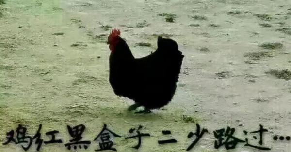 只因ID太沙雕,玩家便被舉報至封號?玩家:正經人誰叫嘰八段了 只因ID太沙雕,玩家便被舉報至封號?玩家:正經人誰叫嘰八段了