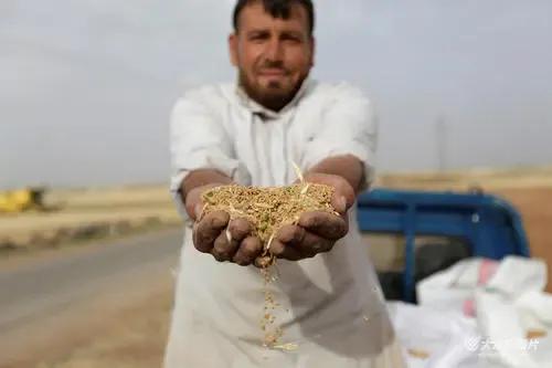 敘利亞現狀，帶你看看真實的敘利亞