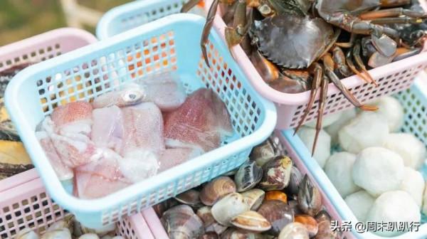 可愛爆炸！秋日萌萌噠便當，親子露營必備哦