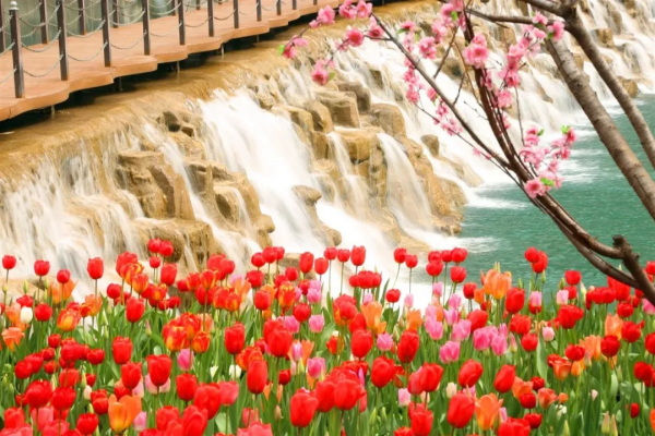 河南旅遊：寶泉冰雪節完美收官，鬱金香踏青賞花節即將開幕