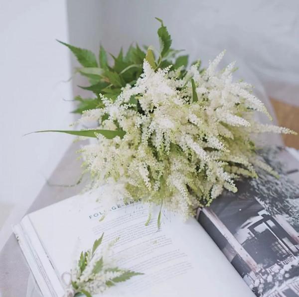 葉似蕨，花霧朦，落新婦散發浪漫唯美的氣息 | 壹木星球 No.4