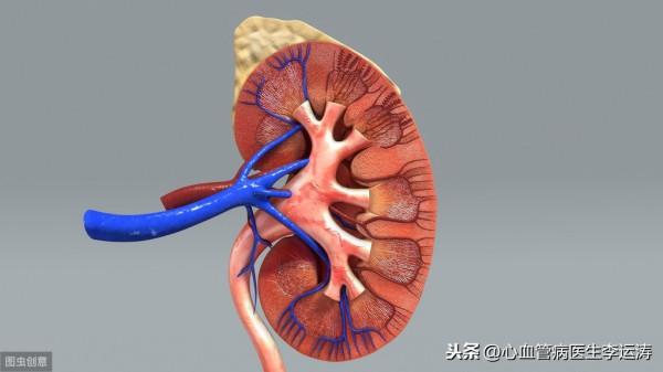 生化全套檢查主要看什麼?500多元有必要做嗎? 生化全套檢查主要看什麼?500多元有必要做嗎?