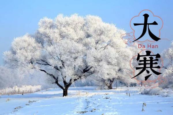 明日大寒，有條件記得“吃3肉、食3蔬、忌3味”，做好進補收尾期