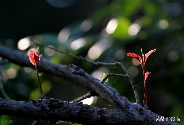 《尉繚子》原文 譯文(十七) 《尉繚子》原文 譯文(十七)