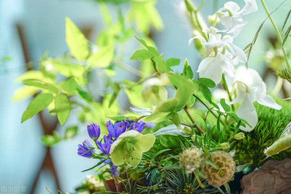 65歲阿姨坦言:老了有固定收入有房住,最好別再找了自由自在多好 65歲阿姨坦言:老了有固定收入有房住,最好別再找了自由自在多好