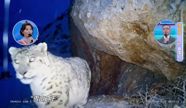 連續兩期三網收視第一！改版後的《天天向上》憑什麼逆襲？