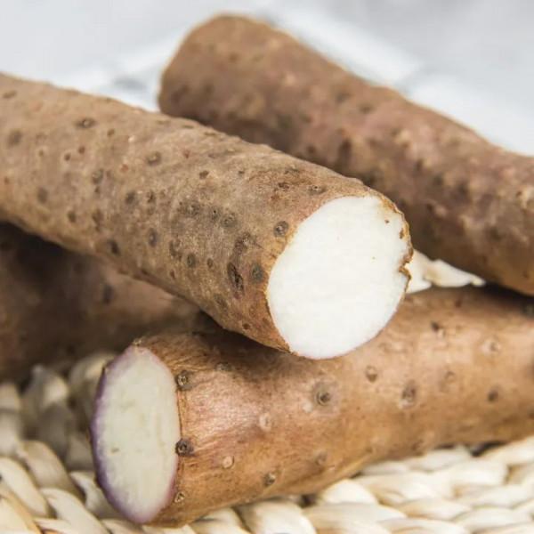 深秋1碗湯，滋補又營養，今晚就給孩子做