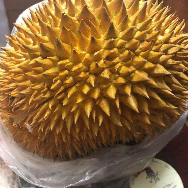 吃了一輩子的水果，還沒見過開花是什麼樣，你見過幾種