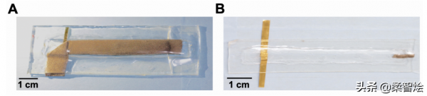 自供電柔性可伸縮溫度計可整合到軟體機器人、智慧服裝中