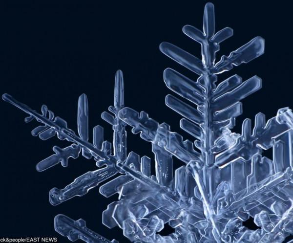 一組日常常見物品的微觀照片，微觀世界原來這麼美