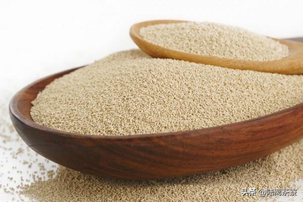 一克熟茶五億黴菌?喝熟茶等於喝髒水?普洱熟茶真的有細菌嗎? 一克熟茶五億黴菌?喝熟茶等於喝髒水?普洱熟茶真的有細菌嗎?