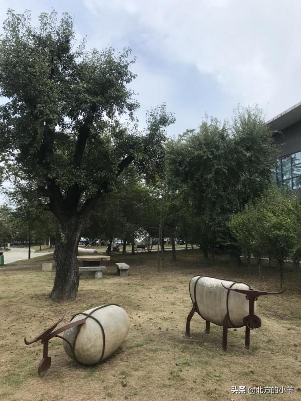 看祖國好風光：泗陽城市生態客廳