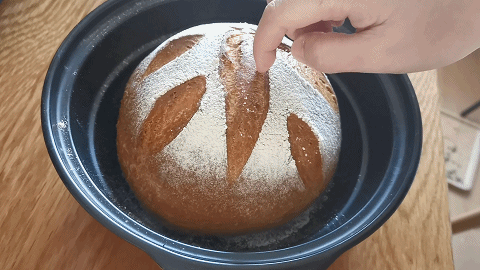 宜盾普星鮮廚微蒸烤一體機測評：好用還是踩雷？山賊實測給你答案