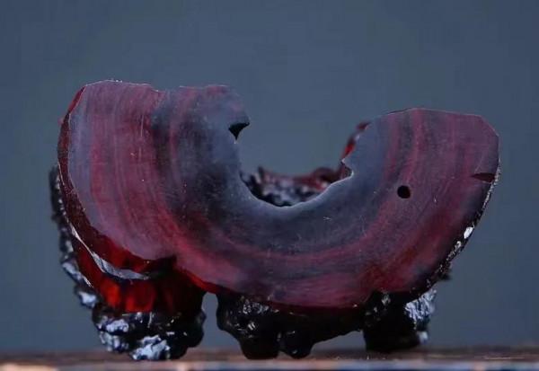 菊枝輕擺，玉蘭花開！普通木雕卻有春秋長生之意！漂亮