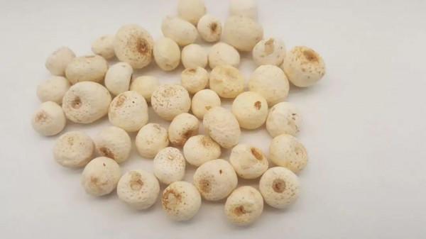 國醫大師張學文:辨治胃痛經驗 國醫大師張學文:辨治胃痛經驗