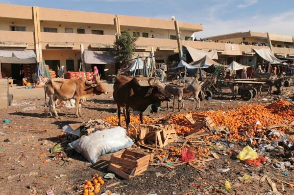 漫步茅利塔尼亞市場,感受非洲的輝煌 漫步茅利塔尼亞市場,感受非洲的輝煌